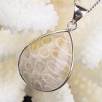 フォシルコーラル ペンダント ネックレス 化石 珊瑚 Necklace fossil Coral ｜メンズ レディース 海外直輸入価格で販売｜