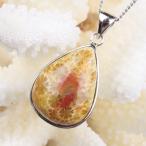 フォシルコーラル ペンダント ネックレス 化石 珊瑚 Pendant fossil Coral ｜メンズ レディース 海外直輸入価格で販売｜