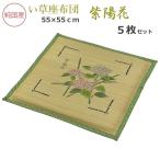 い草座布団 5枚セット 国産 55×55×2.5cm （鉄線） 四方縁付捺染 純国産 ザブトン 抗菌 防臭 井草 イグサ いぐさ 日本製