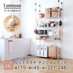 ルミナスラテ ゴミ箱ラック ラック 