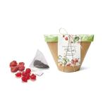 [ маленький подарок ] полный - чай in cup ( клубника & Cherry ) 1898[ черный чай * сухофрукт ]*5 шт каждые заказ пожалуйста 