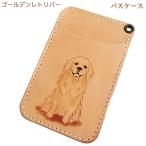  золотой retoli балка чехол для пропуска футляр для карточек кожа симпатичный тонкий тонкий женский мужской золотой retoli балка смешанные товары золотой retoli балка товары 