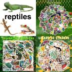 爬虫類 ステッカー 50枚セット PVC 防水 シール カエル かえる 蛙 トカゲ イグアナ ヤモリ カメレオン ヘビ カメ ワニ 動物 ペット スーツケース