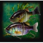 ショッピングIS イマカツ　GillRoid Jr. シェルラミネート　ギルロイドジュニア・シェルラミネート　