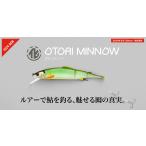 処分特価　ジャッカル　オトリミノー138 17.5g/138mm