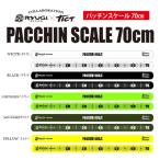 *RYUGI×TICT　リュウギ　ティクト　パッチンスケール　PACCHIN SCALE