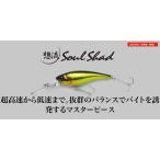 ジャッカル　ソウルシャッド62DDR SP  6.8g/62mm　2024新色追加