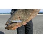 ジャンプライズ　飛びキング　105HS