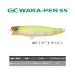 一誠　G.C.ワカペン55　#57 チャートオイカワ