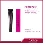 資生堂 プリミエンス マルチカラーグループ N ナチュラル 12 80g [資生堂プロフェッショナル/SHISEIDO]