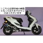 ADV150 バイクマフラー 2BK-KF38 2020年〜2021年モデル対応 フォーゼ チタン ブルーカラー マフラー Realspeed リアルスピード ホンダ カスタム パーツ