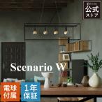 DI CLASSE Scenario W ペンダントランプ LP3113 ブラック LED対応