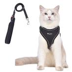  кошка кошка для Harness шлейка кошка ... кошка . кошка . собака маленький размер собака прогулка выход выпадение нет лучший soft ... легкий голова . через .. текстильная застёжка .