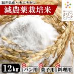 ショッピング米粉 米粉 12kg （2kg×6袋） 食パン用 料理用 福井県産 減農薬栽培米使用 吸水量低い 超微粉 国産 無添加 米粉パン グルテンフリー