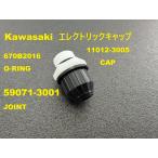 {LX-KAW-EL001}Kawasaki