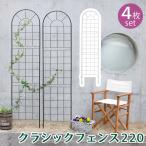 ガーデンフェンス 4枚セット ロータイプ 黒 白 アイアンフェンス ガーデニング 幅500mm 高さ2200mm 厚さ13mm おすすめ おしゃれ 庭のフェンス ローズフェンス