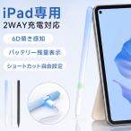 iPadタッチペン 極細 スタイラスペン 残量表示 傾き感知 高精度 超高感度 磁気吸着 専用アプリ対応 ペンシル iPad A16 第11世代 Air Pro mini7 10 9 8 7 爆買