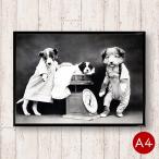 A4ポスター 犬のモノクロポスターNo.2 出産 マットコート紙 モノトーン モノクロ 動物 写真 アートポスター ビンテージ 北欧
