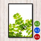 A2/A3/A4ポスター 緑の葉や枝の植物ポスター マットコート紙 インテリア 植物 自然 写真 アートポスター 北欧