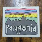 [pa-118]patagonia Patagonia стикер sticker Kids * special liti магазин 2015