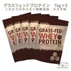 プロテイン ホエイプロテイン カカオ チョコ 5kg 1kg×5袋 グラスフェッド プロテイン アミノ酸 タンパク質 WPC