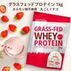 ショッピングプロテイン プロテイン ホエイプロテイン ストロベリー 苺 1kg グラスフェッド プロテイン アミノ酸 タンパク質 WPC