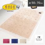 バスマット 足ふきマット 速乾 吸水 乾度良好 Ag+クリーンフット 約50×70cm 抗菌 銀イオン おしゃれ お風呂マット 浴室 お風呂 洗面 オカ