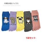 5本指ソックス 5足セット 犬柄 かかと付き くるぶし丈 イヌ ショート丈 靴下 レディース 1000円ぽっきり 送料無料