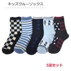 靴下 キッズ 5足組 クルーソックス 男の子 19〜24cm カジュアルソックス ボーイ靴下 1000円ぽっきり 子供靴下
