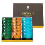 かきたねキッチン チーズ in かきたね アソート 包装なし 手提袋なし オリジナル 贅沢 小袋 贈り物