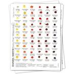 Daniel Smith Watercolor 238 Dot Color Chart by Daniel Smith