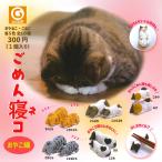 �V���C���O �K�`�� ���߂�Q�R ���₱�� �y�S10�� �R���v�Z�b�g�z