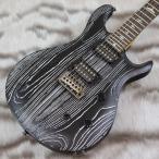 PRS (Paul Reed Smith)�@SE Swamp Ash CE 24 