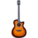 Washburn Guitars WCG10CE