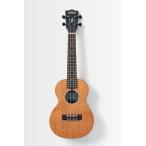 KALA James Hill Signature Solid Top Mahogany Concert Ukulele KA-JH-MHG-C