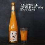 ポイント消化 お試し 送料無料 有田みかん 100％ストレート果汁 みかんジュース「きわみ」 500ml×1本