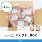 花悠のとびきりBOX 1030ver.