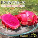 . старый остров производство питахайя красный 2kg(4~5 шар )| удар рубин pi Taya 