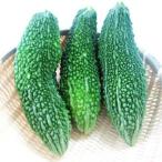 沖縄産ゴーヤー 1kg (にがうり)