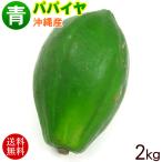 三倉食品『沖縄県産 青パパイヤ』