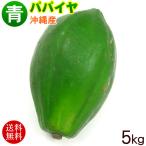 沖縄産 青パパイヤ 約5kg（送料無料）