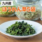 乾燥野菜 ほうれん草 5袋セット 18g 生野菜200g相当 九州産野菜 安心安全国産 長期保存が可能なエアドライ 非常食 保存食 備蓄食