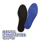 メール便 あるきんす インソール スポーツ 衝撃吸収 中敷き エアバッグ内蔵 2足セット/4枚 美脚 土踏まず 扁平足 足と歩きの研究所 所長 入谷誠監修