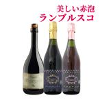 ワインセット スパークリングワイン 甘口 イタリア ランブルスコ3本セット