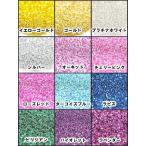 メール便のみ送料無料  新色入荷　ラメパウダー　グリッター