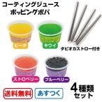 Yahoo! Yahoo!ショッピング(ヤフー ショッピング)即納 コーティングジュース 4種類セット 90g キウイ・ストロベリー・ピーチ・ブルーベリー 今夜くらべてみました あすつく 送料無料