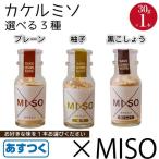 カケルミソ 30g 1本 3種類の中から1本お選びください プレーン 柚子 黒こしょう ×MISO 和泉屋商店 長野 佐久 所さんお届けモノです あすつく 送料無料