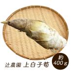 . agriculture . on soft roe . approximately 400g Kyoto bamboo shoots soft roe .. present ground freezing your order perfect score blue empty restaurant 