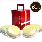 ケンミンショー ケーキ お取り寄せ 冷蔵 有名　観音屋 デンマークチーズケーキ 6個入り 神戸名物 神戸 チーズケーキ スイーツ オーブントースター ご当地 生チーズ 秘密のケンミンショー 敬老の日