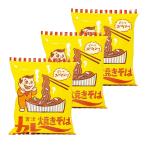 宮津カレー焼きそば インスタント 3袋 即席麺 京都府 ご当地グルメ ケンミンショー 秘密のケンミンショー